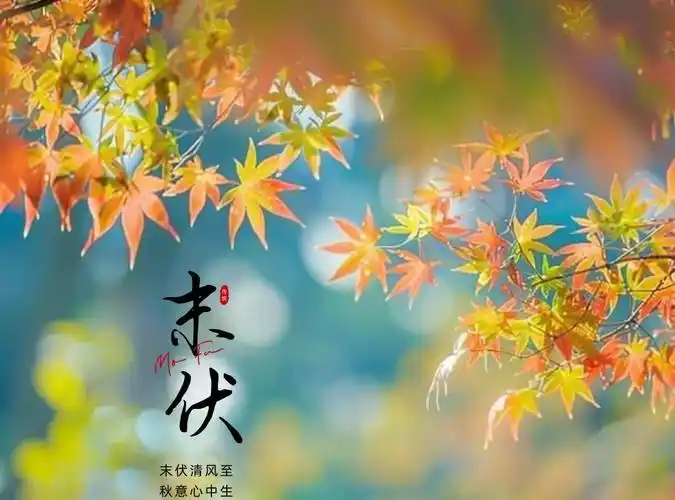 【秋韵抒怀】黄元基//末伏吟（五首）（图4）