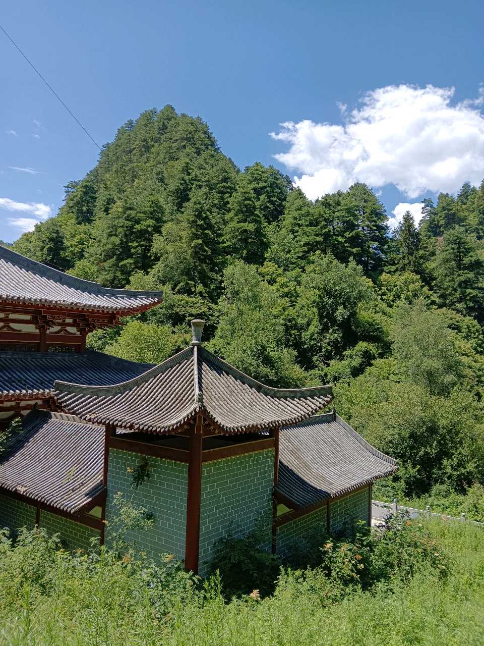 作家美文 杨占礼诗歌 写给伯叔的赞歌(图4)