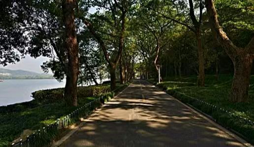 悠然居新诗：019/杨 堤 景 行    诗人/沈 学 印    主播/河清海晏
