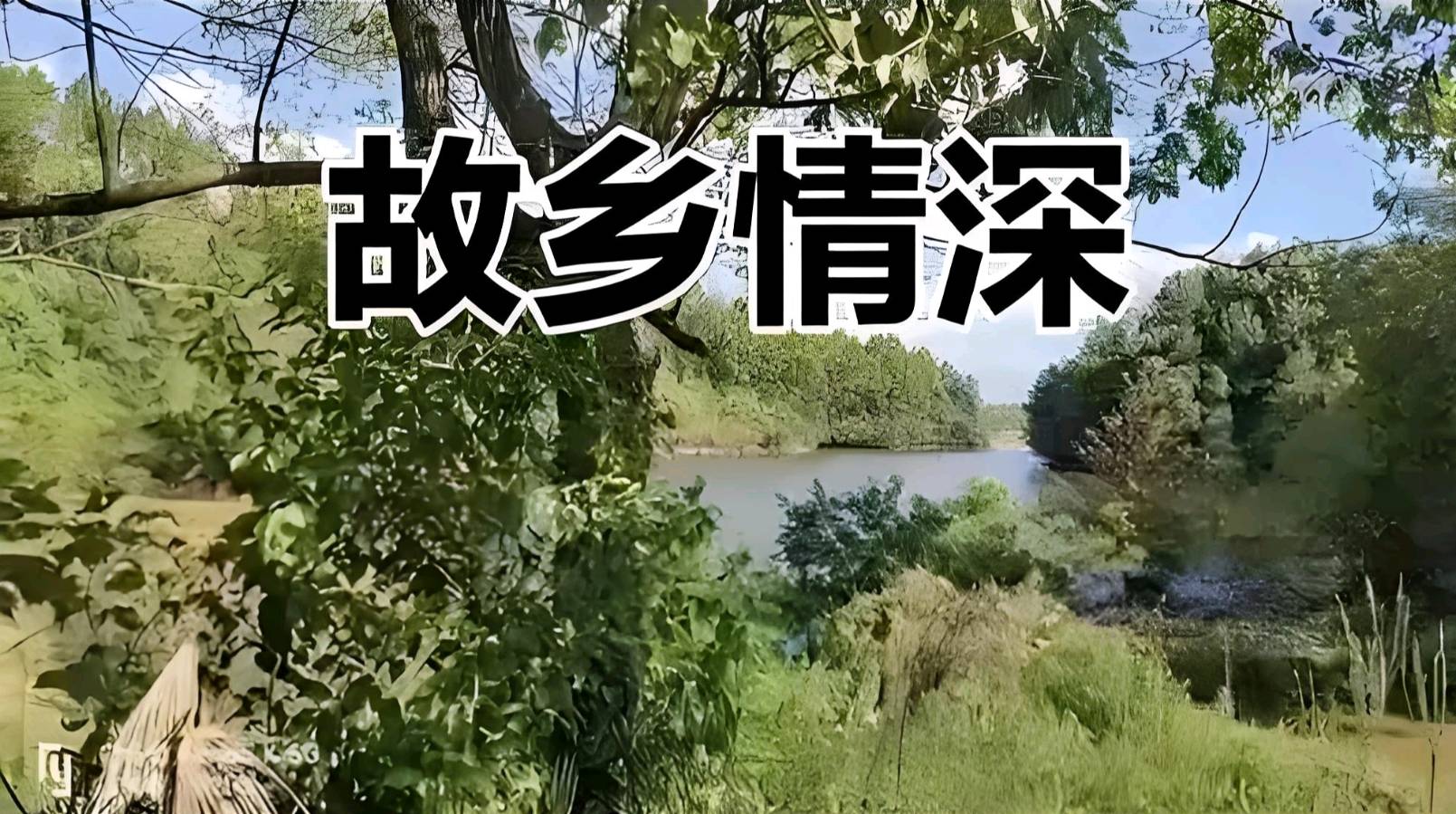散文·我的故乡八仙营 文/ 铁裕(图4)