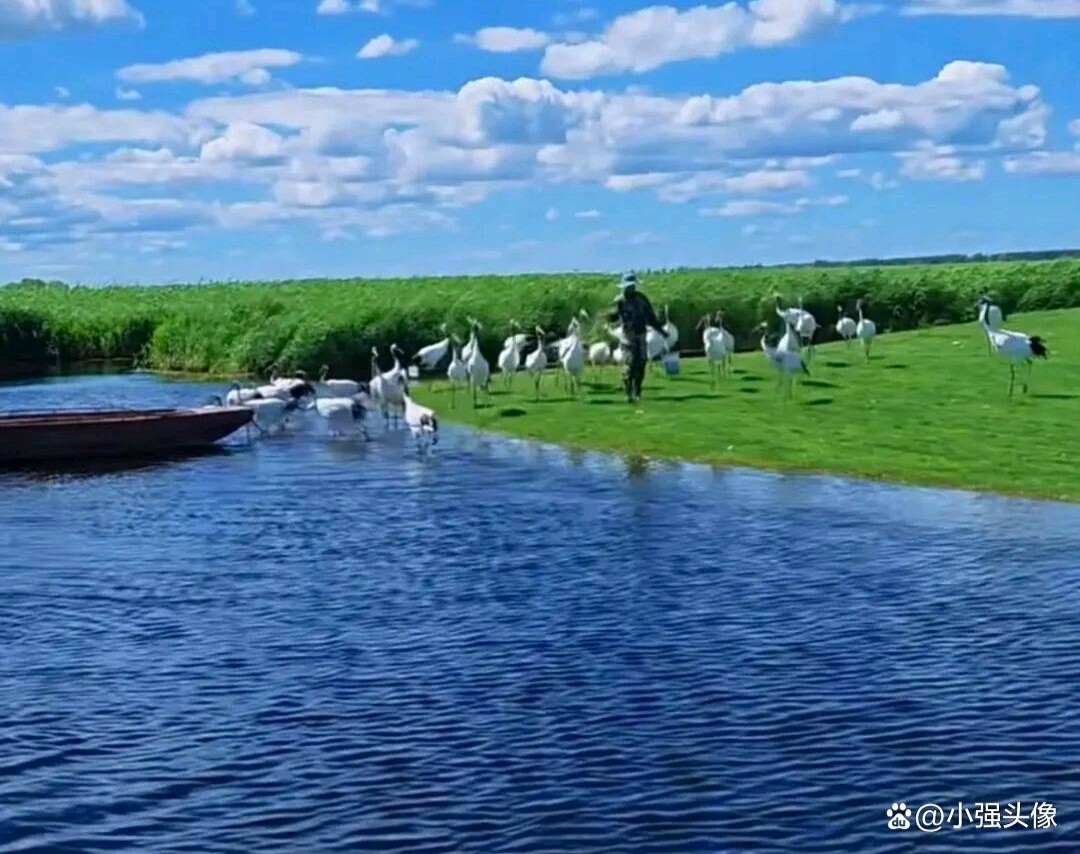 《中华好诗词》隆重推介著名华侨诗人陈咏隆先生七言辘轳体系列第321至325组 敬请雅鉴(图6)