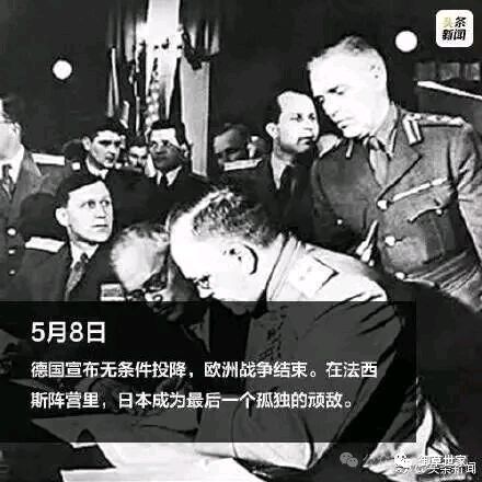 八一五警示文/老头儿