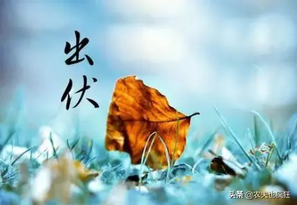 《海天诗画》名家精品出伏时节诗‖许碧霞（江西）