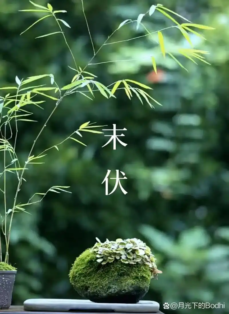 末伏闲吟//作者//郑金波（图8）