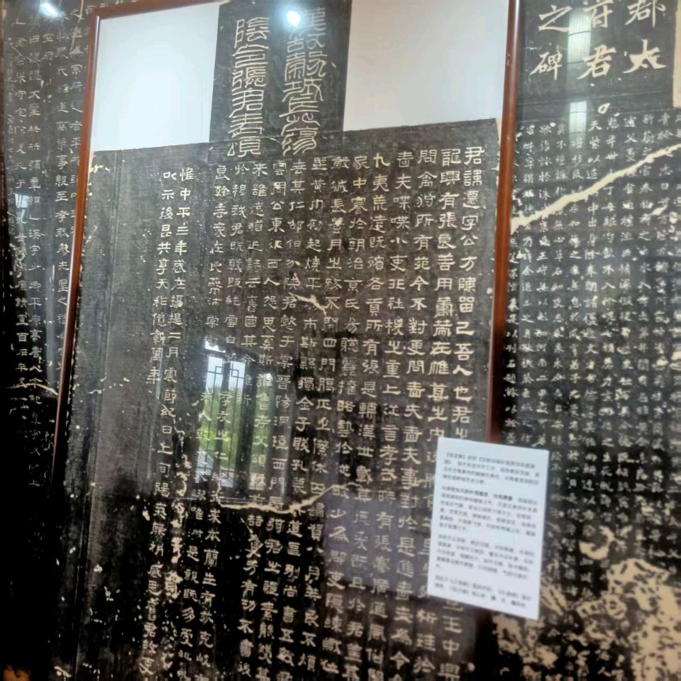 【都市精英文学社】七律 孟秋应百川先生之邀游马头镇三贤馆有寄诗二首作者/周效仁(山东临沂)(图10)