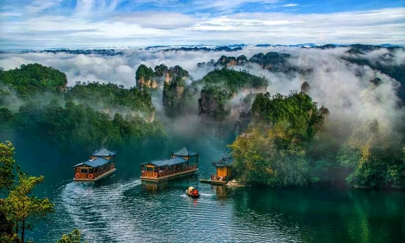 《瑞鹤仙 黄海湿地行：探春令 星槎南望》文/王香谷（悉尼）