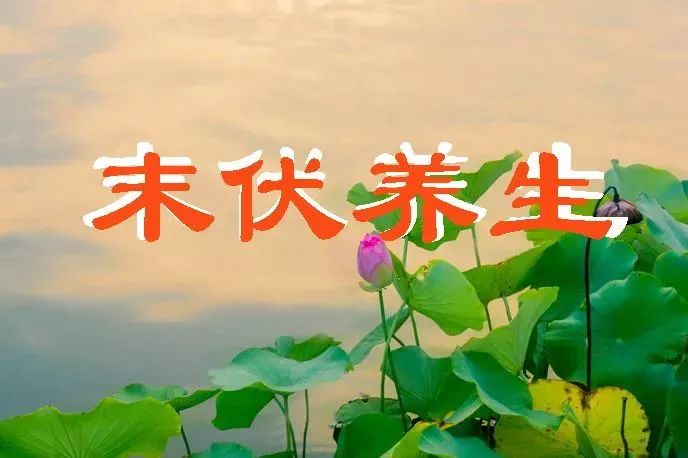 《中华好诗词》分享(陕西榆林)优秀诗人贺树元先生《七律.末伏感怀》外三首请雅鉴(图5)