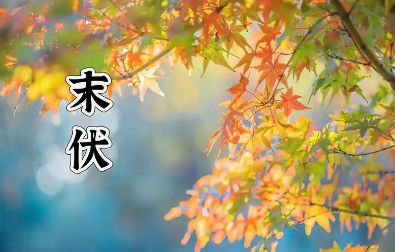《中华好诗词》分享(陕西榆林)优秀诗人贺树元先生《七律.末伏感怀》外三首请雅鉴(图4)