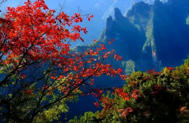 李强（彬州‖允许一切发生
