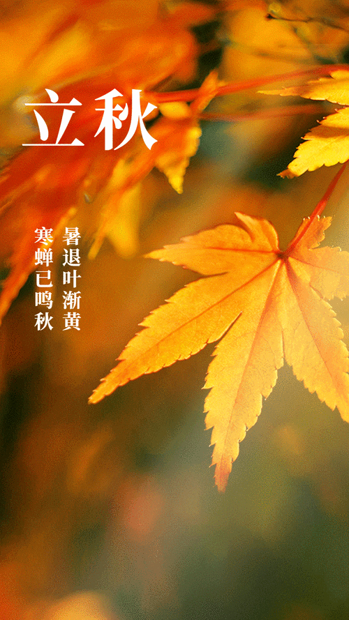 2026年秋日纵歌之十——七律二首(新韵)郑占荣1.雁南飞2.秋游(一)(图3)