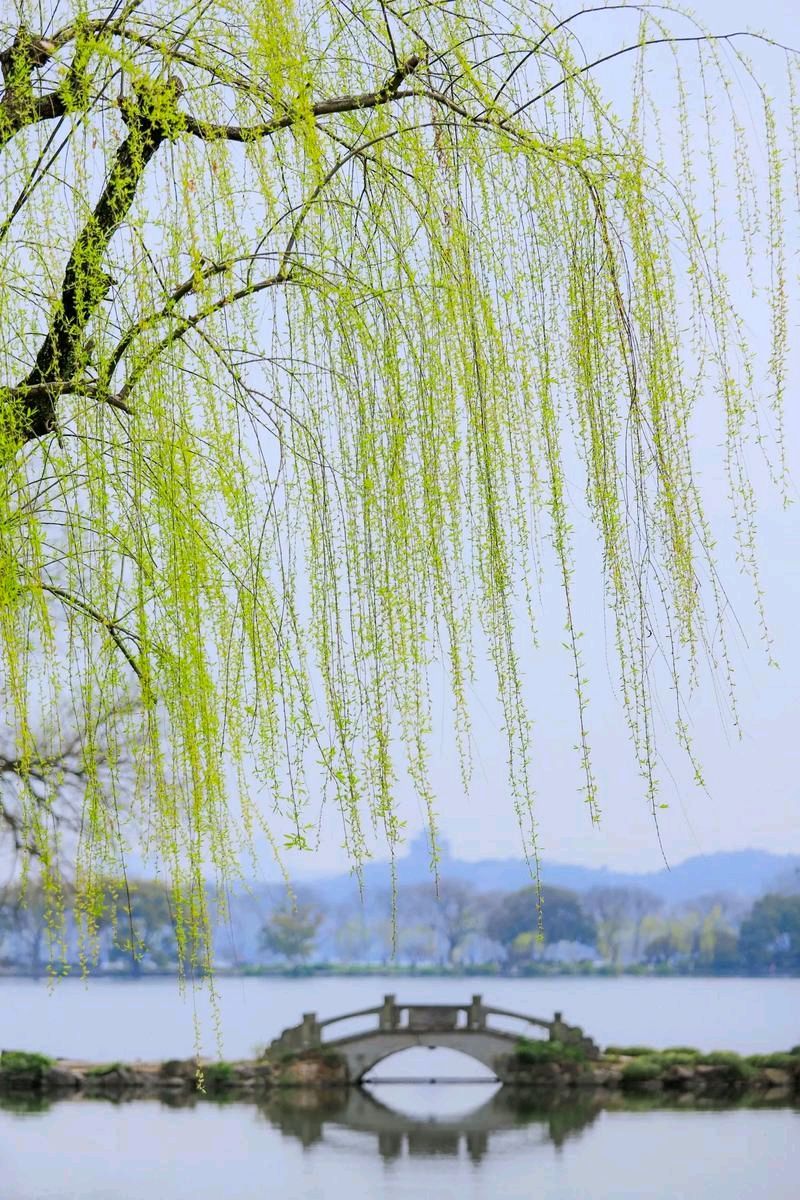 《淮阳八景》诗八首 文/李德强(图10)