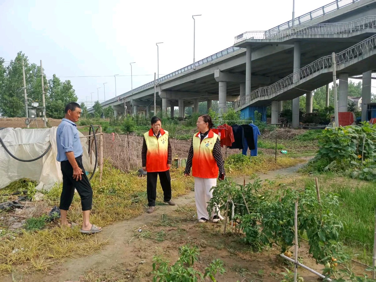 调研大棚产业 助力毛豆增收（图3）