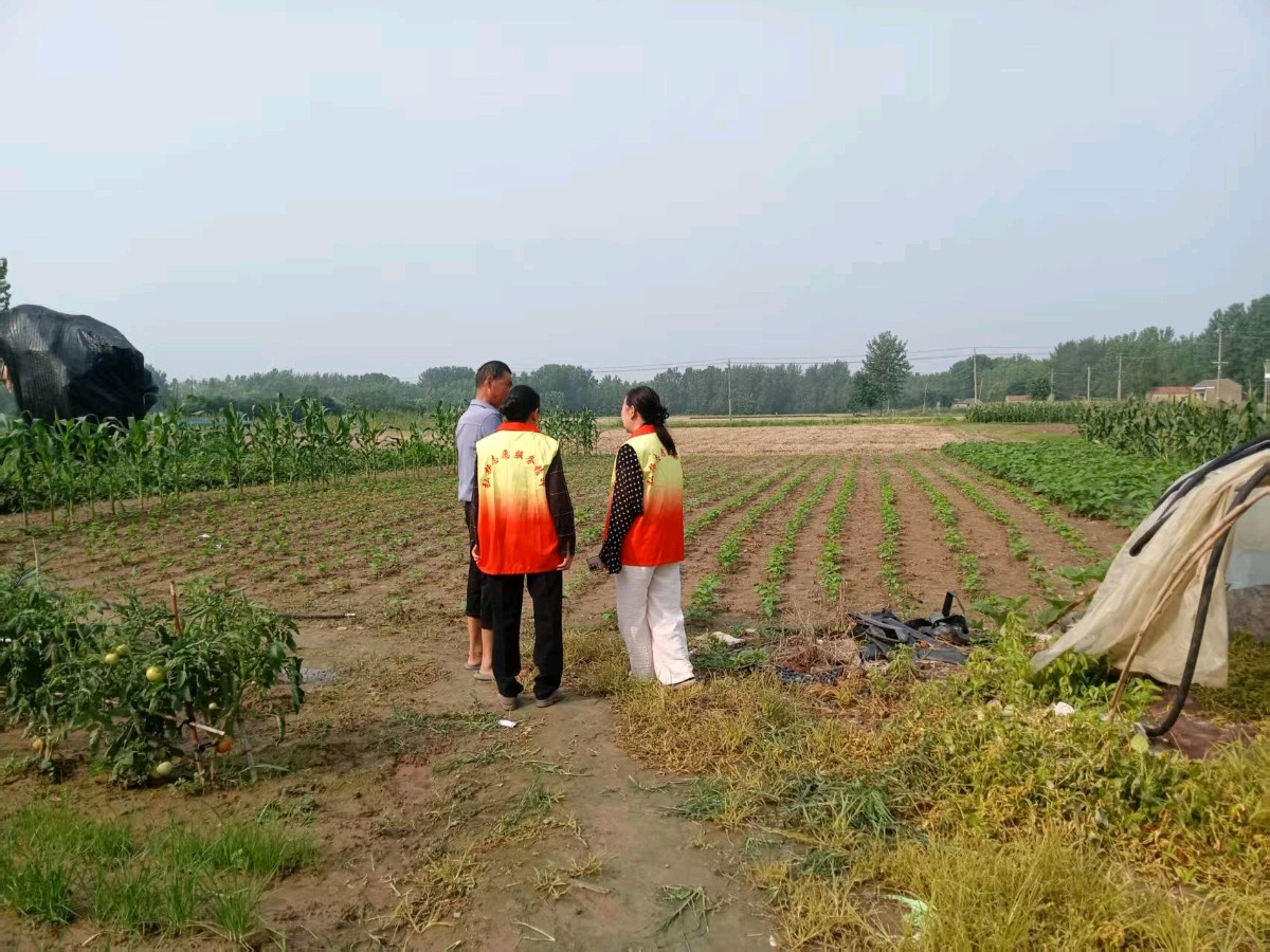 调研大棚产业 助力毛豆增收