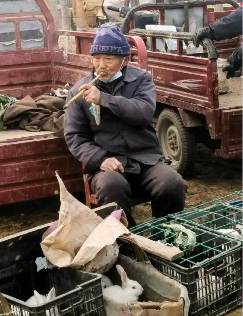 【中国诗人】文坛*优秀诗人王楼诗词欣赏(图8)