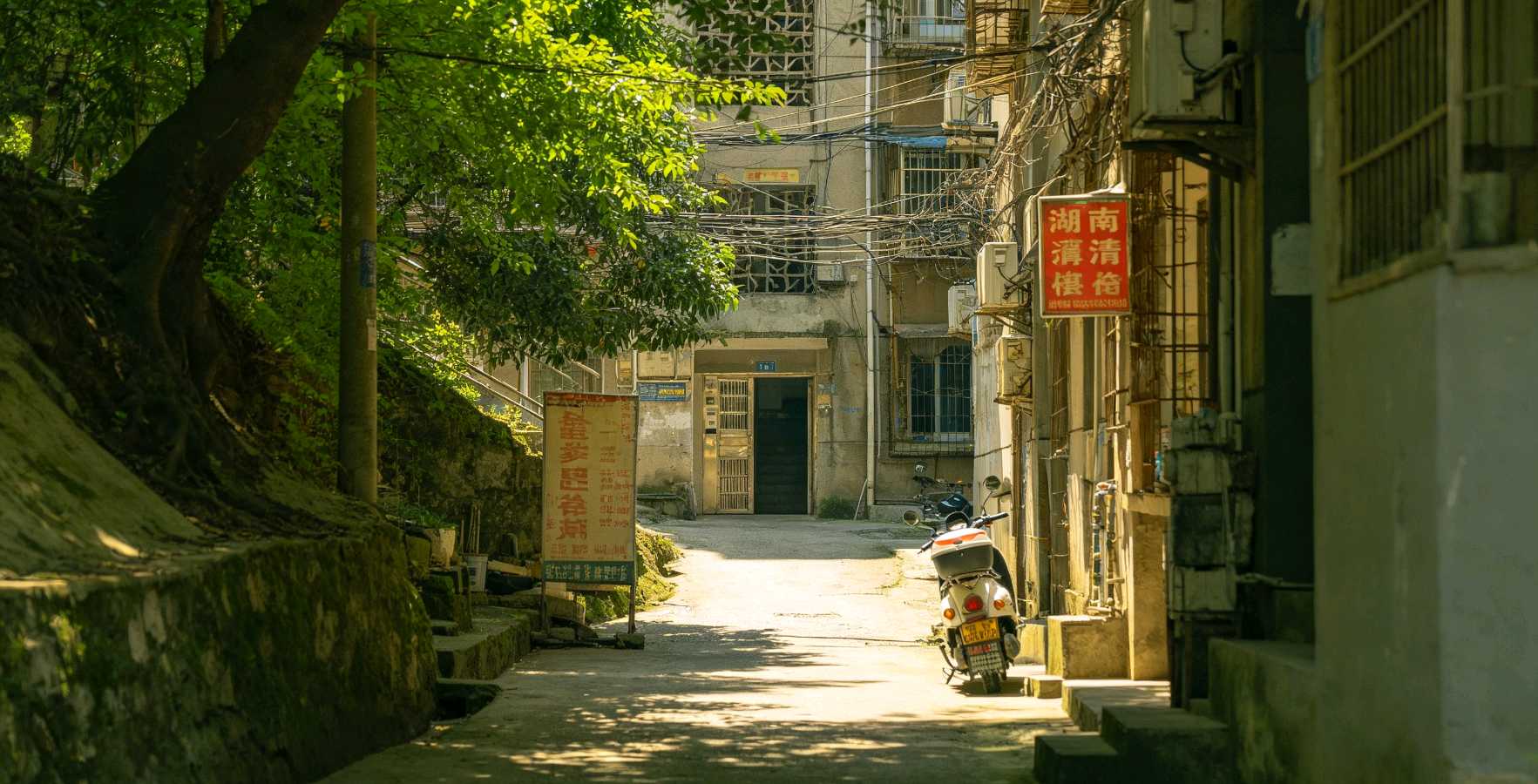 【中国诗人】文坛*著名诗人田向洪哲理佳作第8期（图16）