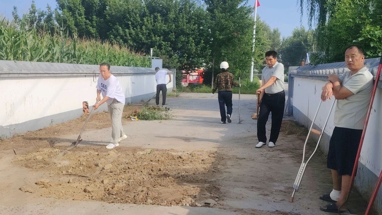 志愿清扫净街巷 无私奉献靓乡村（图7）