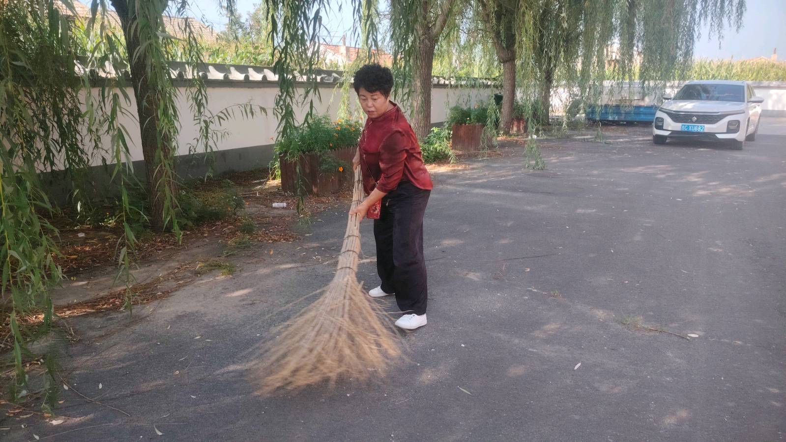 志愿清扫净街巷 无私奉献靓乡村（图4）