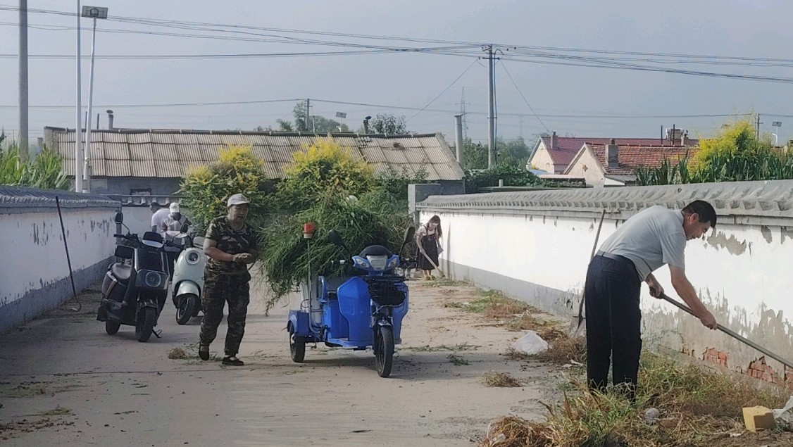 志愿清扫净街巷 无私奉献靓乡村（图8）