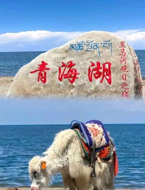 【读后感】碗中方药 命由自守 ——读《救命》悟饮食与安康之道 ：文/何生香（青海西宁）（图7）