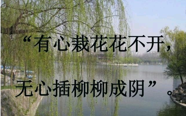 岁月成篇天地鉴,孤宵独对河汉新/三木秉凤诗文选(图7)