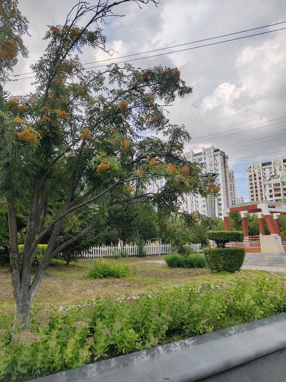 蜓舞花溪鸟语林,露珠摇落几光阴(名家在线散文诗词曲赋联)——听雨斋诗社【3190期】(图3)