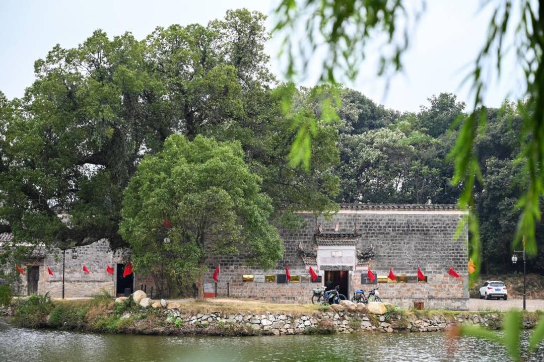 红色血脉与人文之光——抚州红色文化抒怀 纪实散文 陈学林（图3）