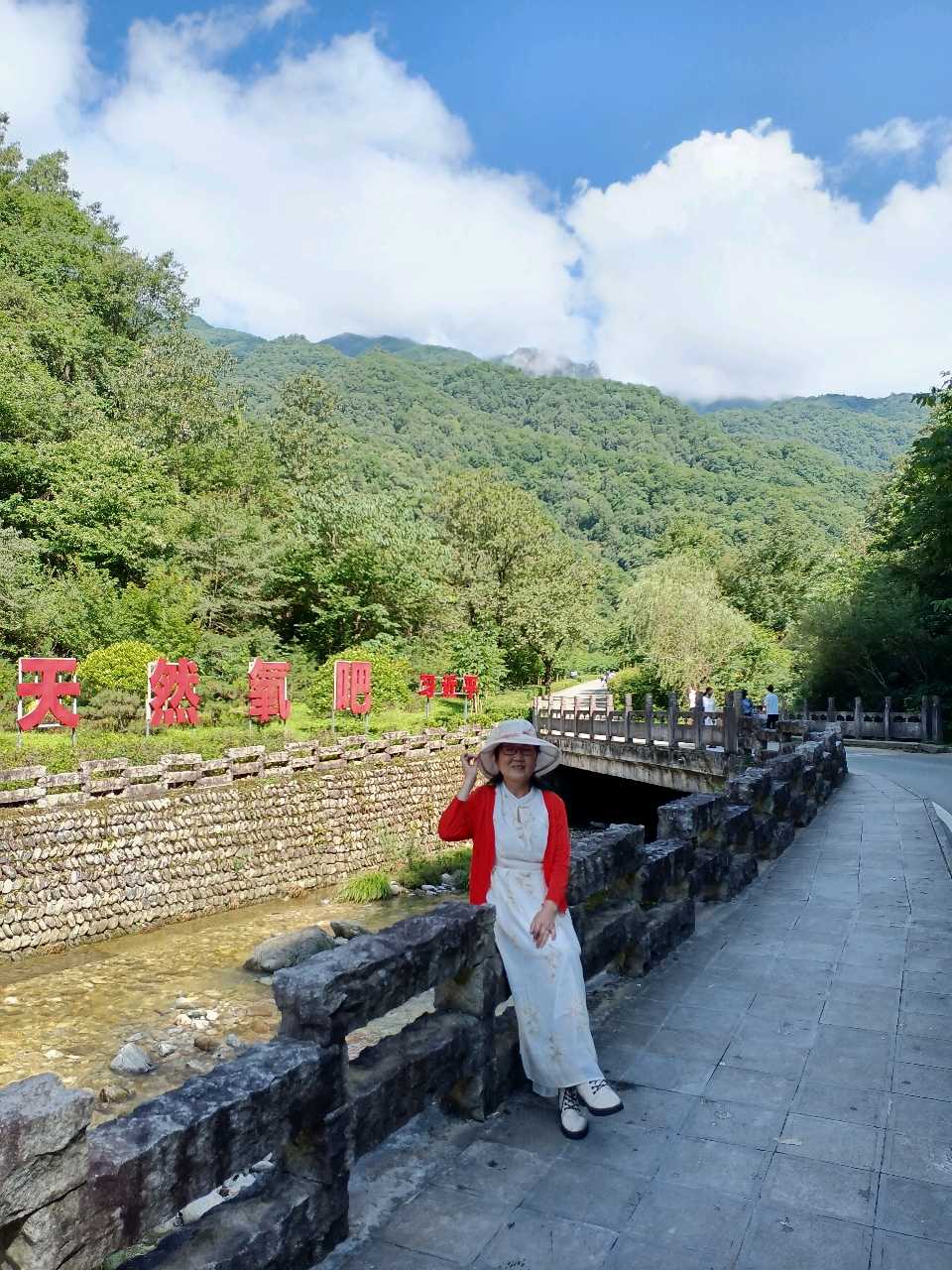 在牛背梁,让灵魂做一次深呼吸作者 李会芳 都市头条~西安头条(图6)