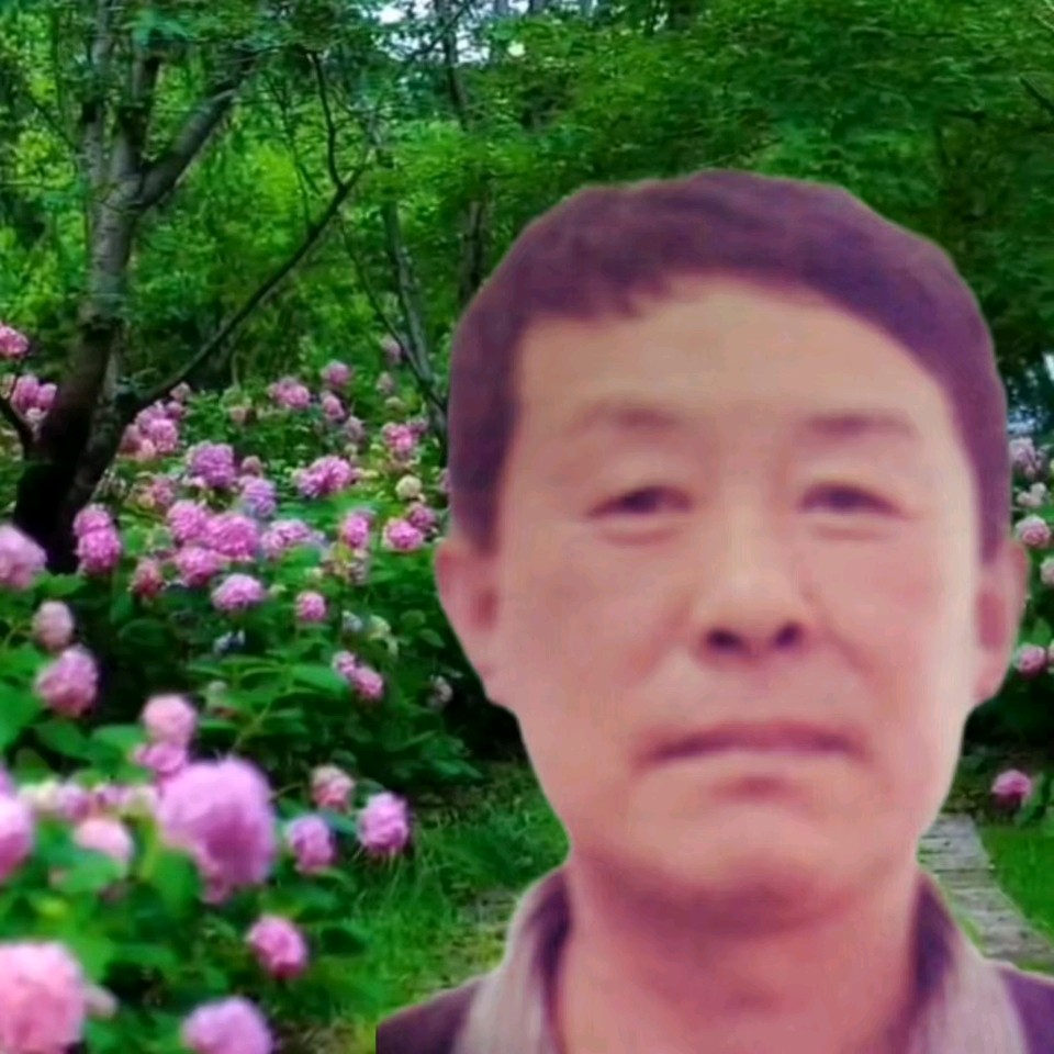 冰心文化传媒推出高岩诗词专辑*总编冰心（图17）