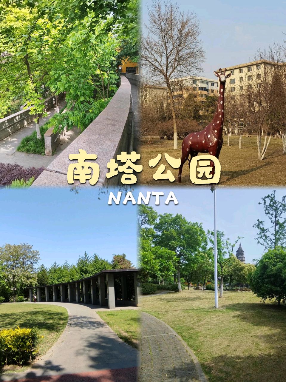 冰心文化传媒推出高岩诗词专辑*总编冰心（图12）
