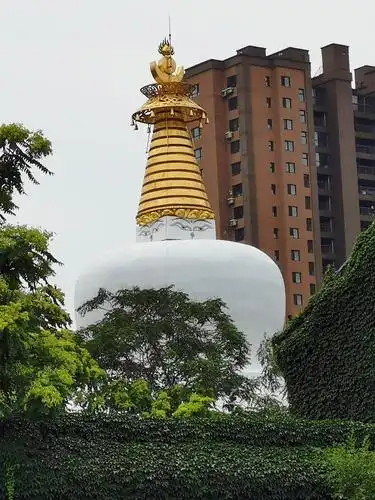 冰心文化传媒推出高岩诗词专辑*总编冰心（图13）