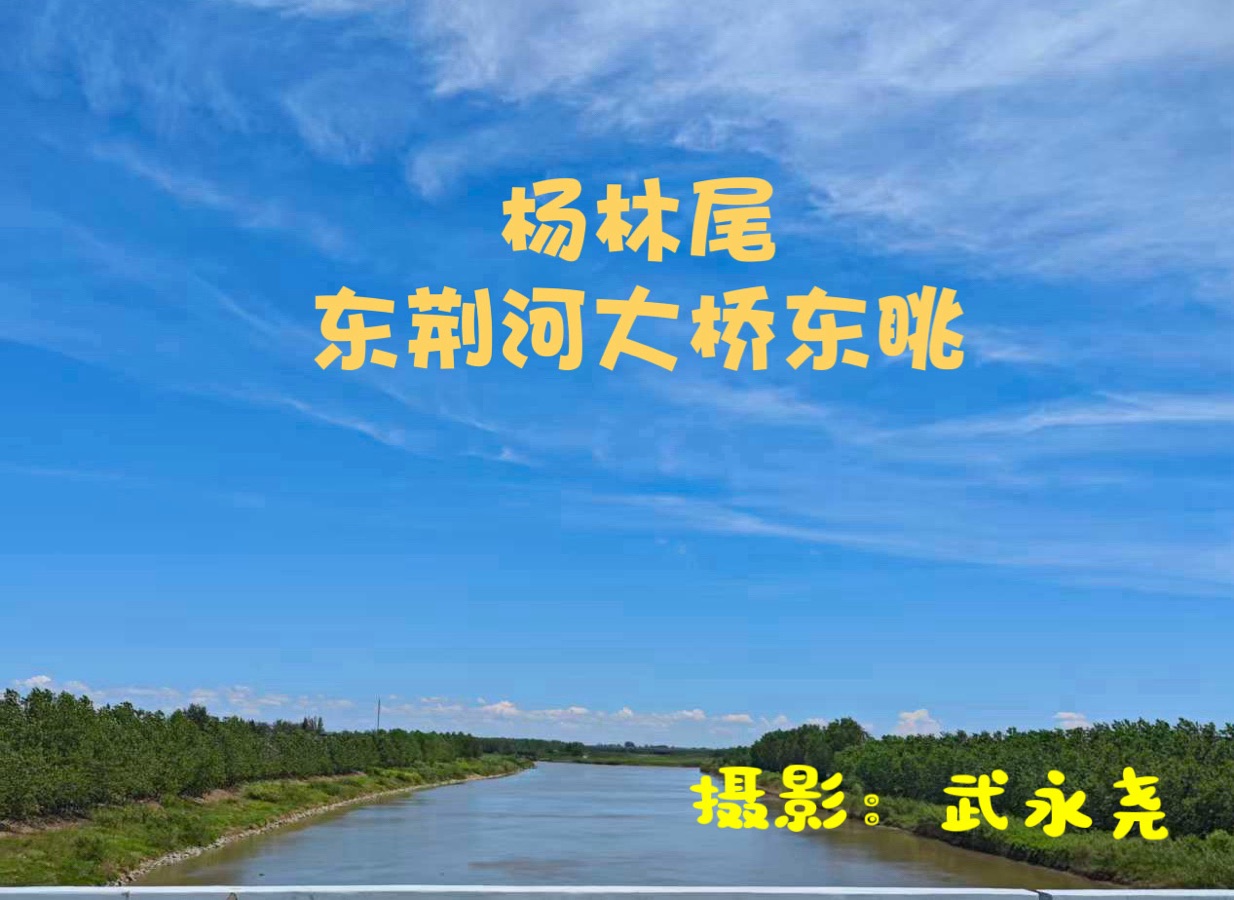 【华人诗社】赏析武永尧先生《杨林尾东荆河大桥东眺》(图2)