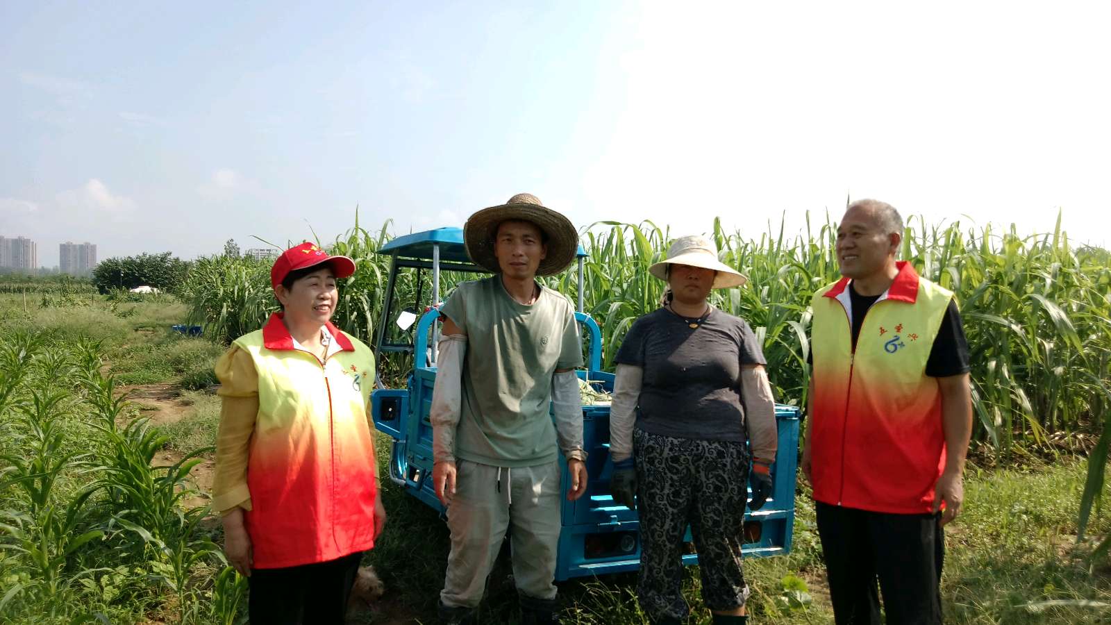 情系果蔬种植户 志愿赋能拓销路(图6)