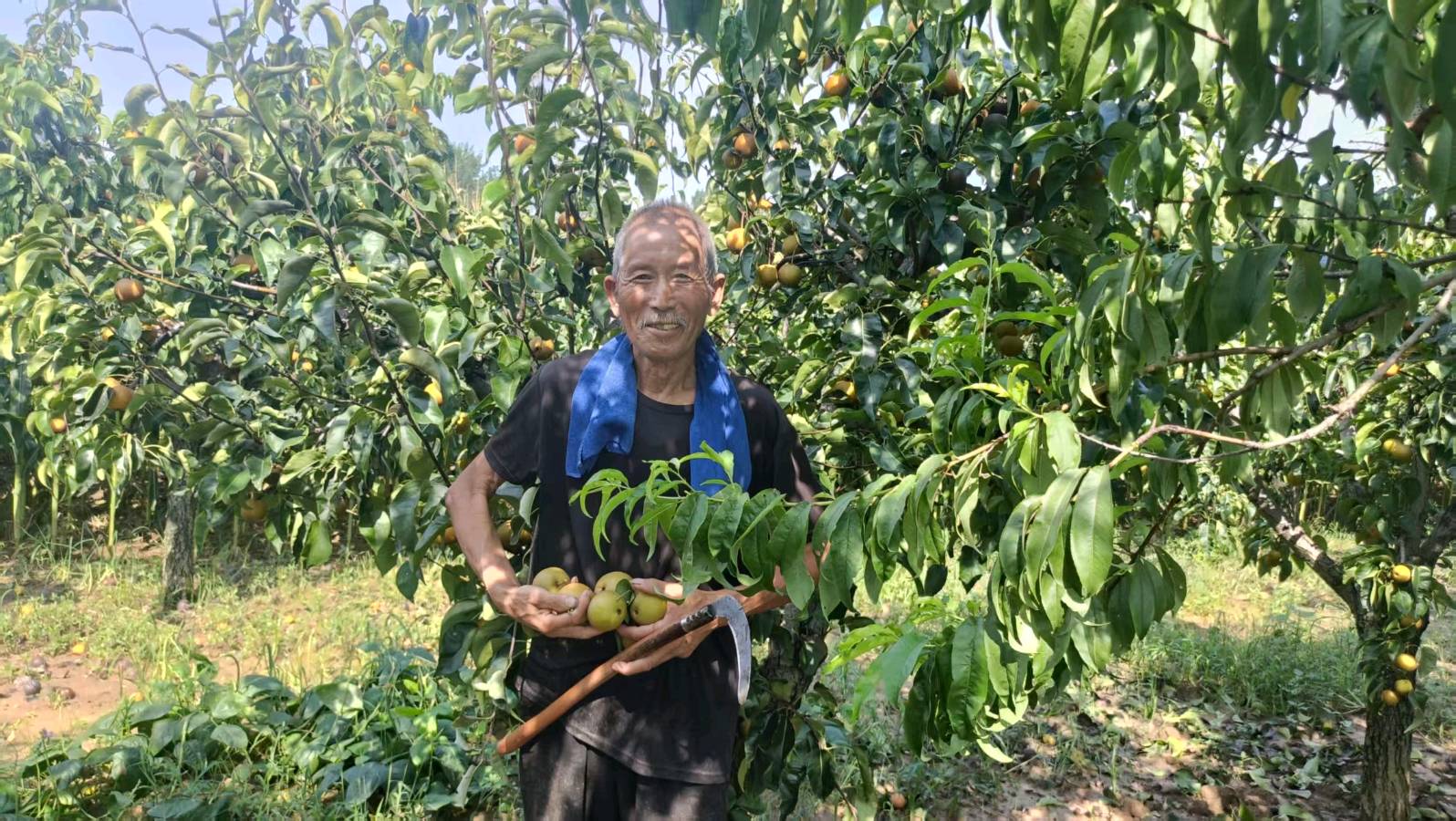 情系果蔬种植户 志愿赋能拓销路（图5）