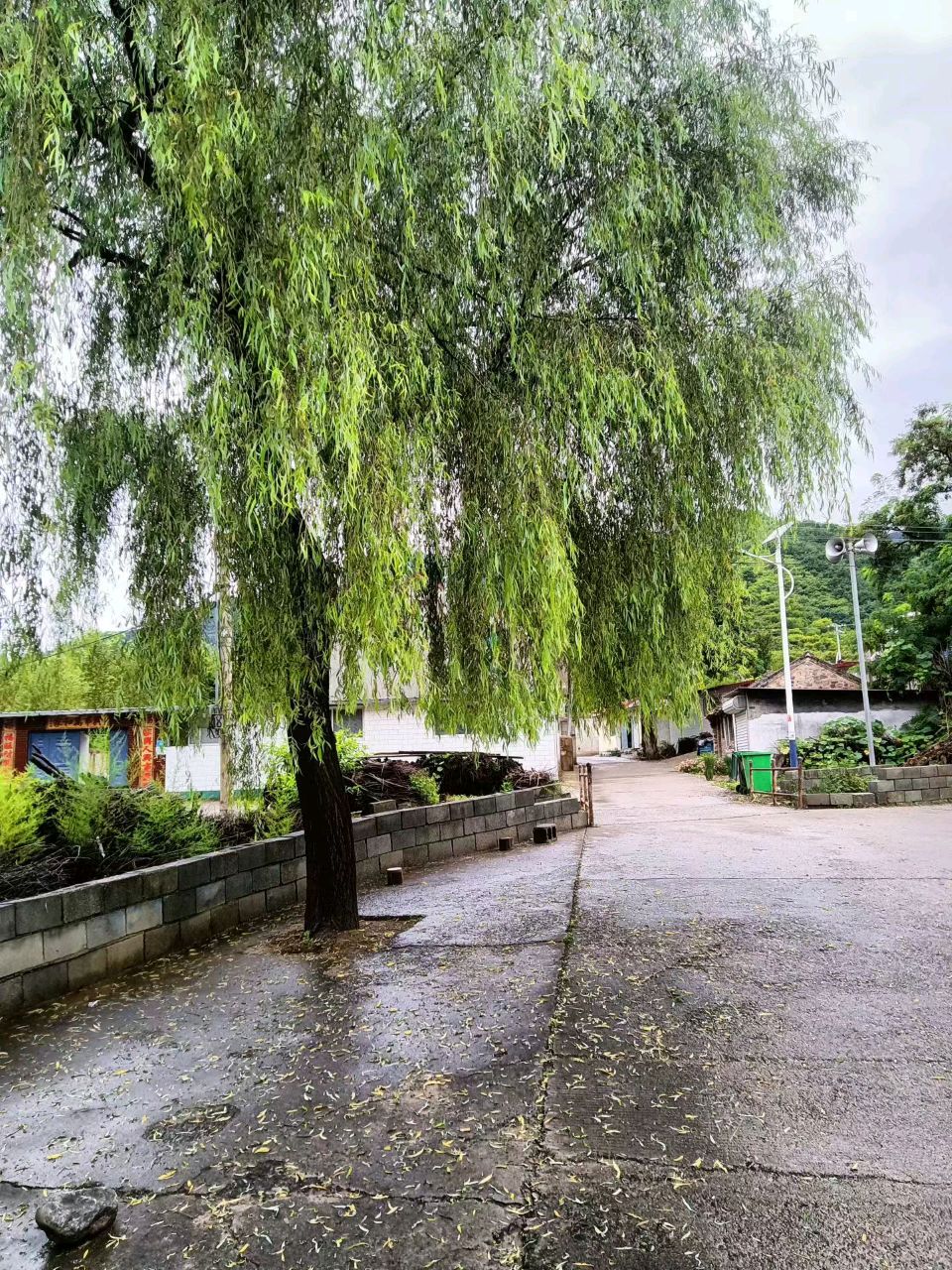 【北京头条】望岳雅集公益诗词学校十期专辑（图6）