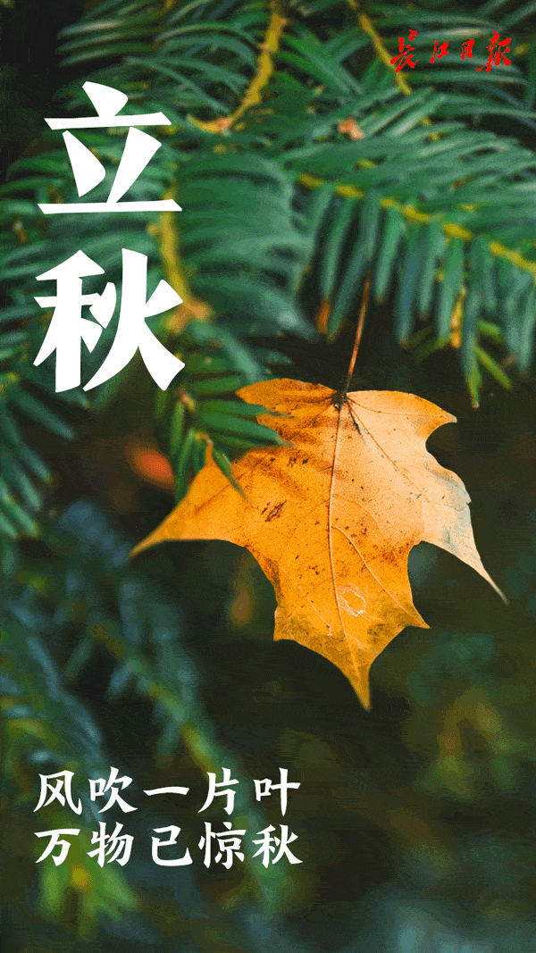 【立秋•庆生专刊】张富贵（冷军油）：立秋次日双八欢，亭院小厨亲聚餐——立秋与71岁生辰感怀（组诗2组8首）北京头条•西安头条•都市头条发布！（图2）
