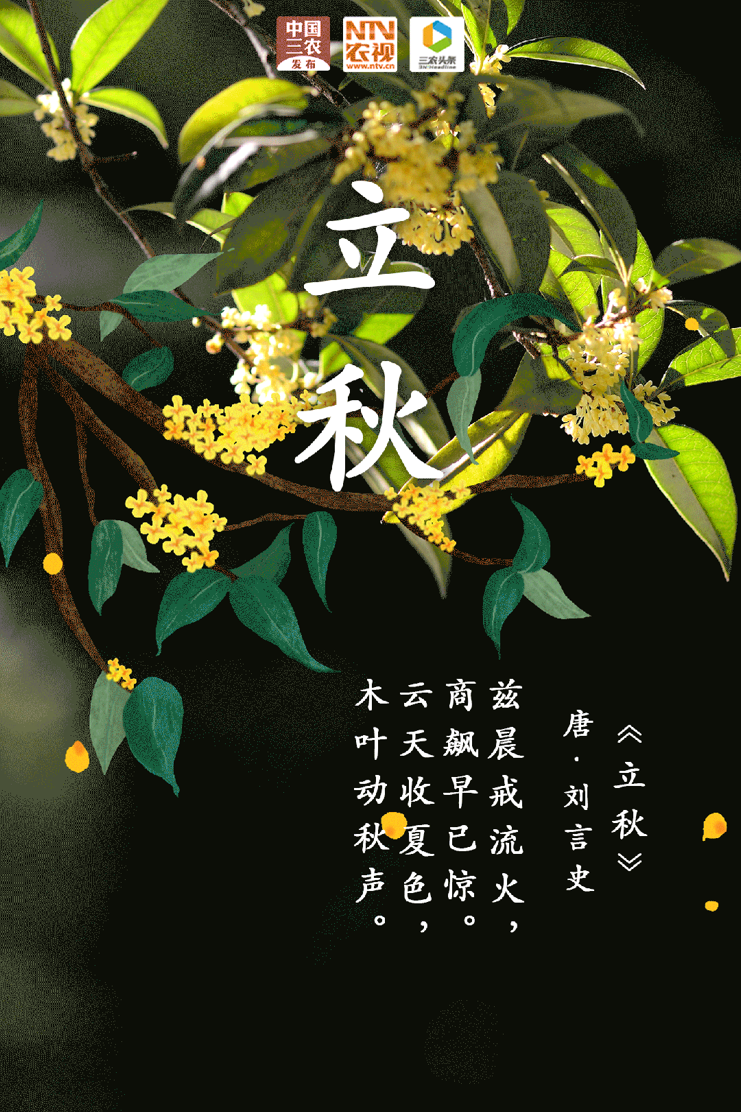 【立秋•庆生专刊】张富贵（冷军油）：立秋次日双八欢，亭院小厨亲聚餐——立秋与71岁生辰感怀（组诗2组8首）北京头条•西安头条•都市头条发布！（图4）