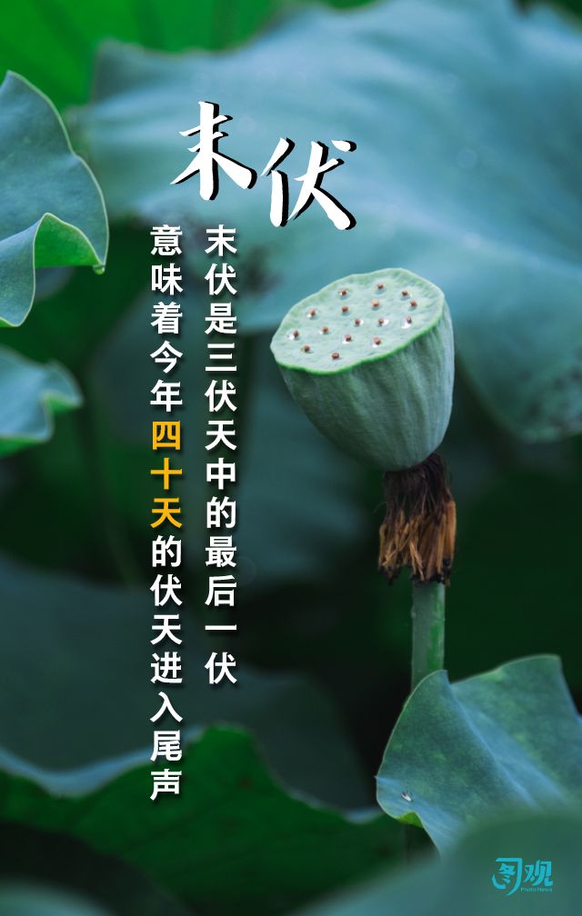 【荣耀中国】文学社*秋日抒怀作者/戴德兴（吉林）（图4）