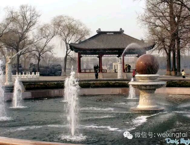 美丽达活泉(1)(图6)