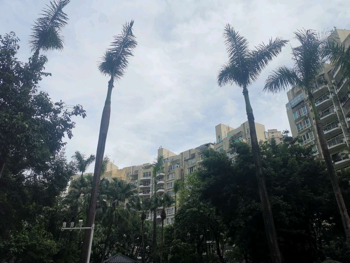 诗赞：生命至上 居民至上（图10）