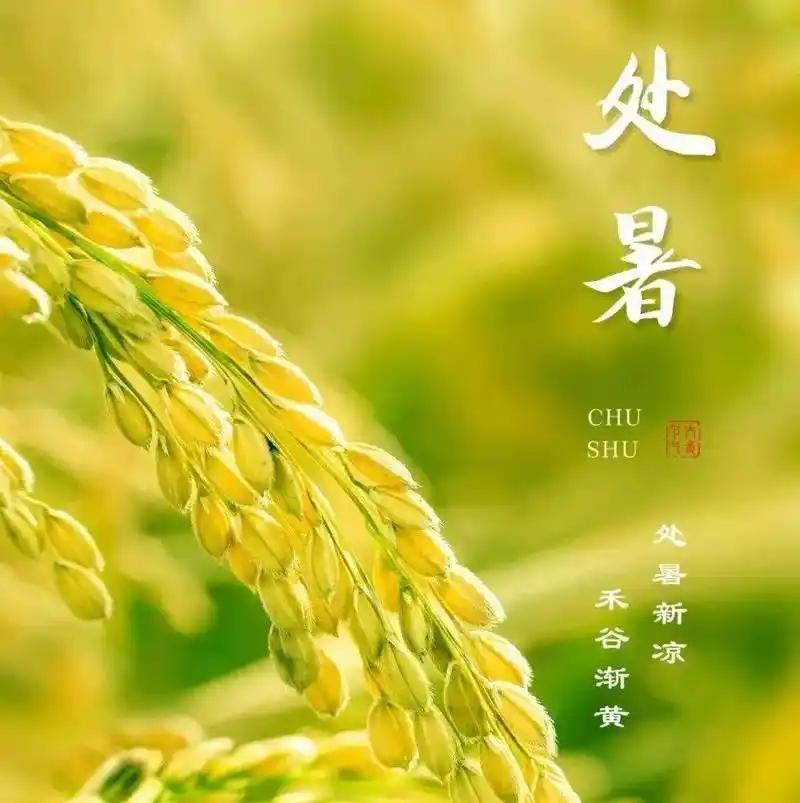 捣练子·处暑有吟（外一首） 作者:金夜（兰州）（图2）