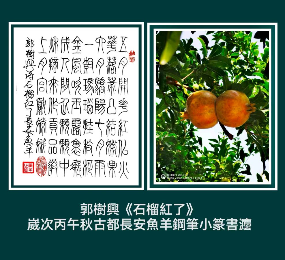 【长安诗文•图赋诗】丹舟文、杨树保摄/石榴红了（图8）