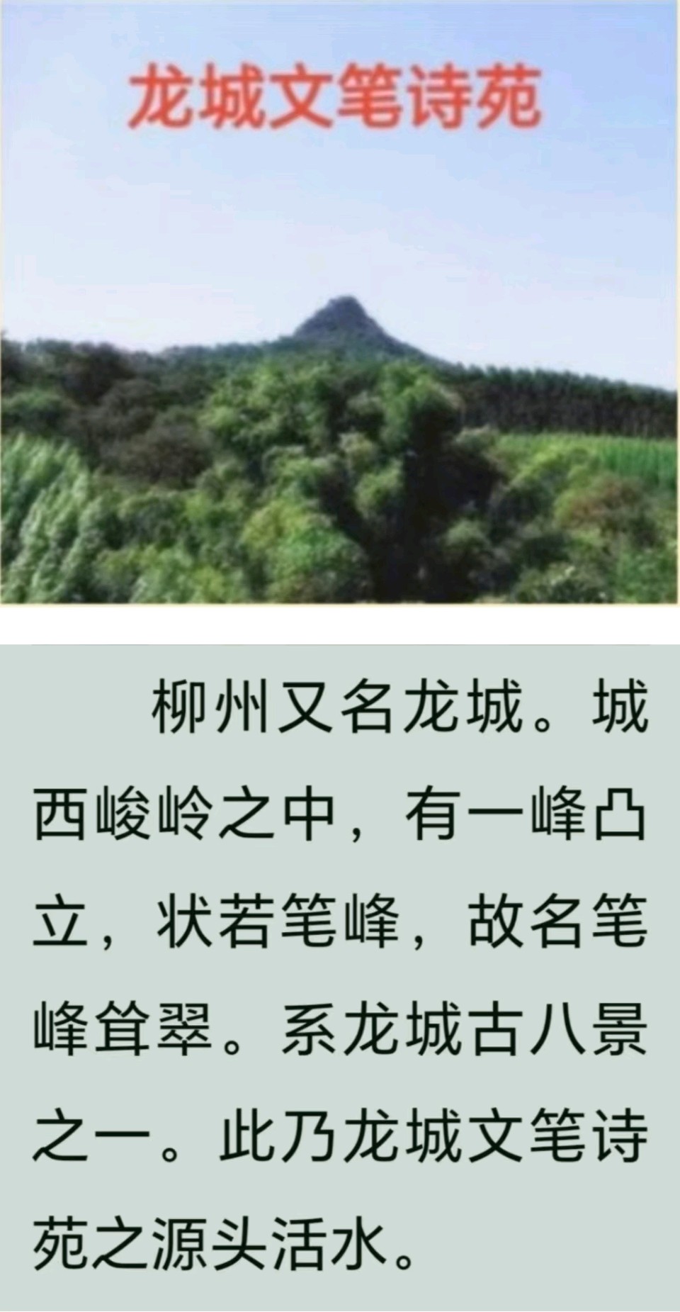 【异域风情——神游南部非洲】诗词专辑
