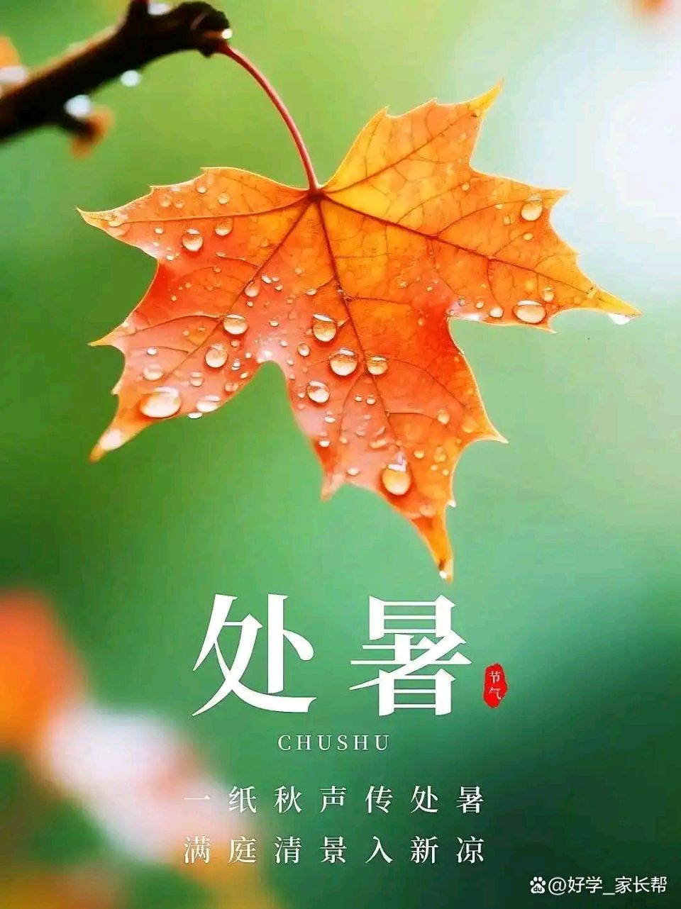 【老丫文苑】缪浩然//七律.处暑吟//(江苏)(图5)
