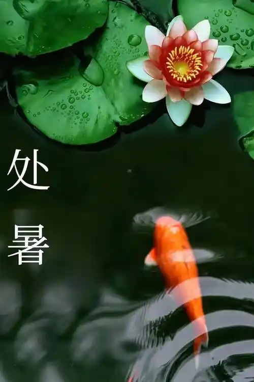 【老丫文苑】缪浩然//七律.处暑吟//(江苏)(图3)
