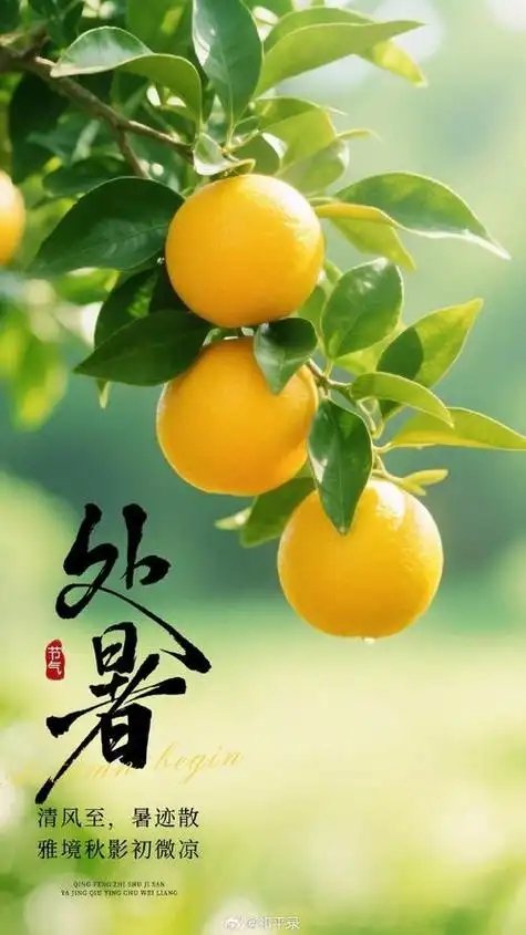 【老丫文苑】缪浩然//七律.处暑吟//(江苏)(图6)