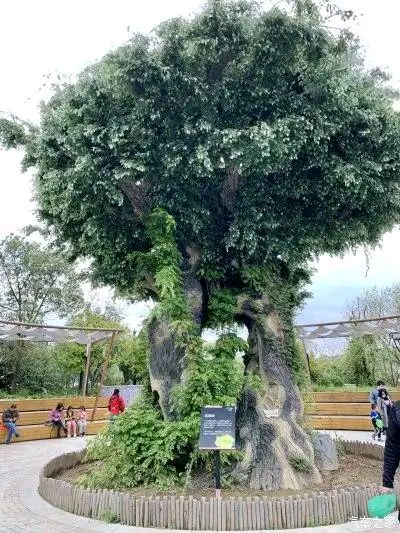 聆听 ‖ 刘子冰朗诵《连理树》作者/黄赞高（图8）
