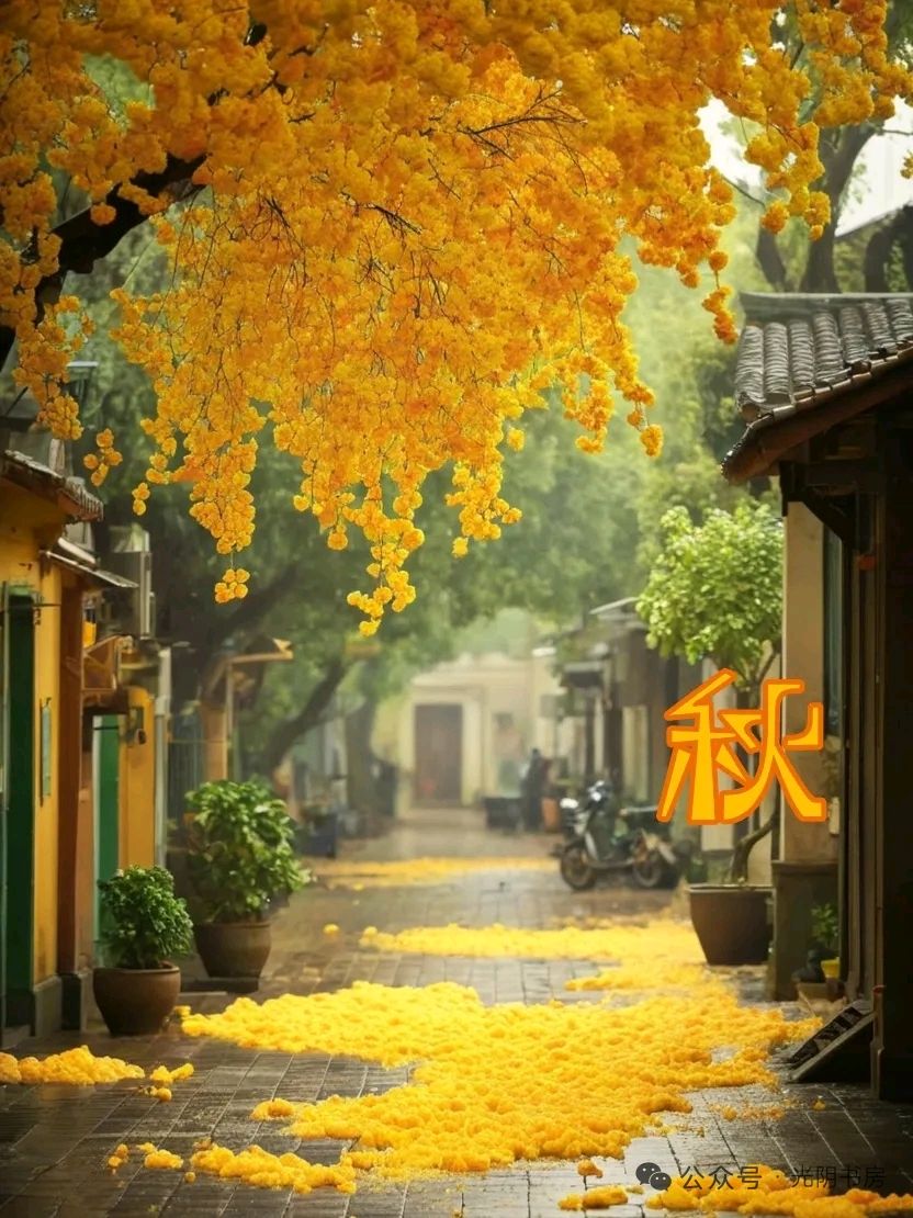聆听 ‖ 向明朗诵《又到深秋叶落时》作者/马文振（图5）