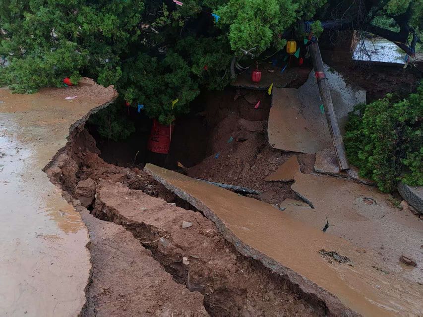 风雨护唐柏 古木续千秋 ——宜阳王眷村千年唐柏抢险修护纪实（图3）