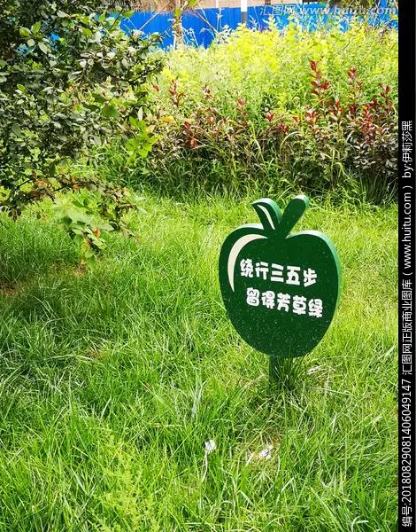【昊昊海峽新幹線副刊】愛護一草一木人人有責（作者 : 昊昊/中國臺灣）……莲叶之珠文学社（图4）
