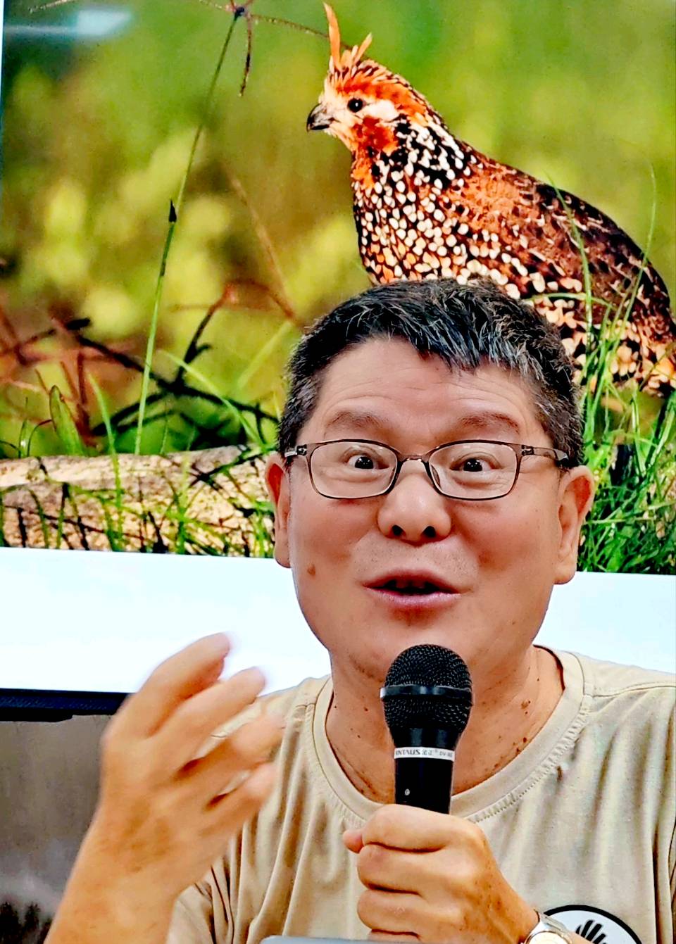 司马小萌北京号 | 哥伦比亚观鸟归来,三位大咖兴致勃勃谈观感做科普(图8)